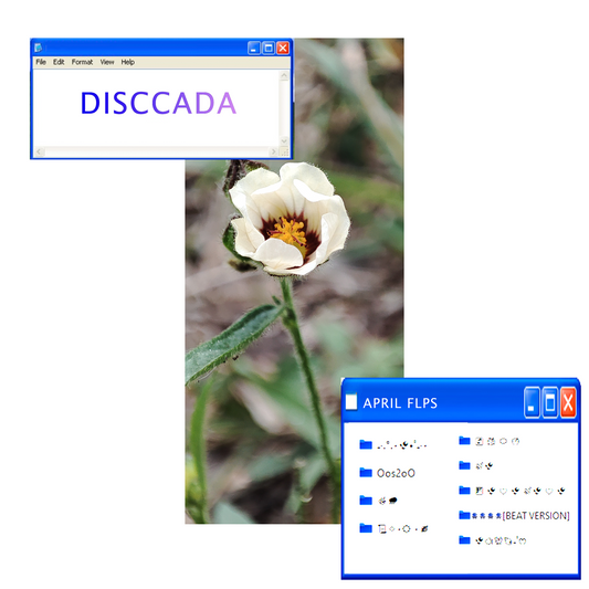DISCCADA - APRIL FLPS [𝑩𝑶𝑻𝑨𝑵𝑰𝑪𝑨]